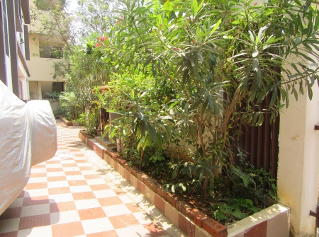 2) Planitation in Apartment.JPG